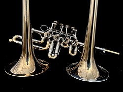 Divina Solo and Orchestra Bell