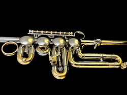 Divina Valve Section